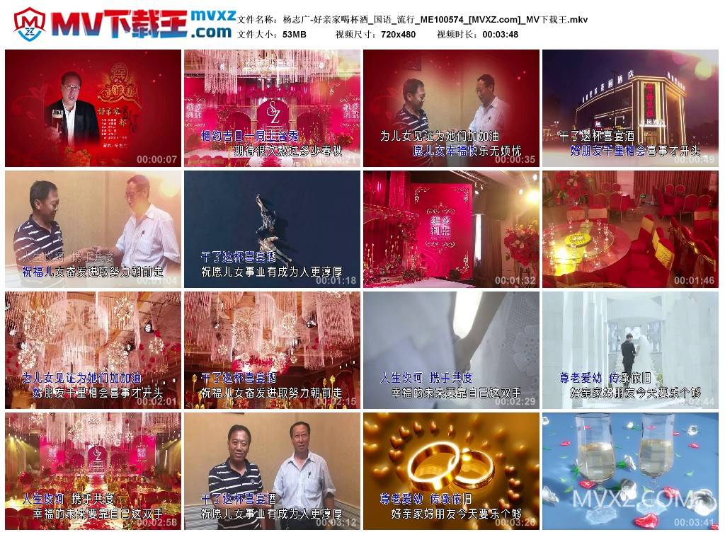 杨志广-好亲家喝杯酒_国语_流行_ME100574